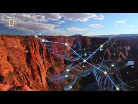 GMO & DENSE - Bouncing Around