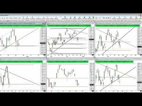 July 25 Market update bySteve Rhodes on TFNN 2012