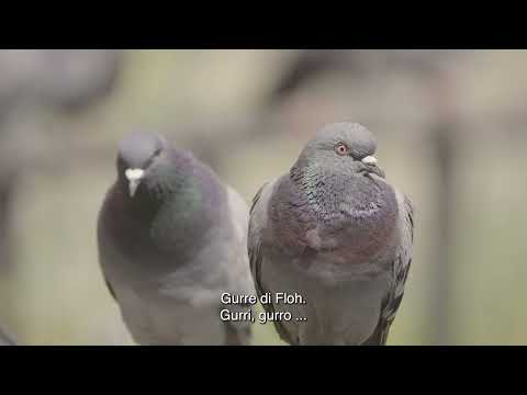 Einfach mal die Profis ranlassen - der AVÜ Kinospot