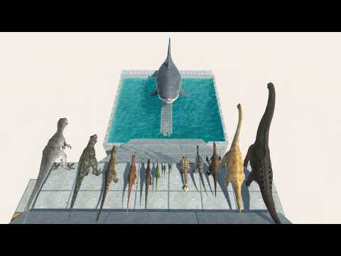 Can Dinosaurs Cross a Megalodon Tank and Survive the Fall?