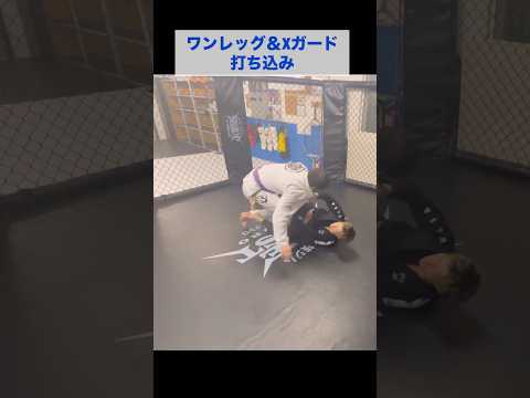 ワンレッグ＆Xガード打ち込み #ブラジリアン柔術 #bjj  #グラップリング #格闘技 #Xガード #ワンレッグ #uverworld #一滴の影響