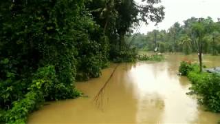 preview picture of video 'Flood Punalur waterlevel increases due to thenmala dam opening'