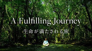 [Yakushima / Documentary] A Fulfilling Journey | 生命が満たされる旅 [4K]