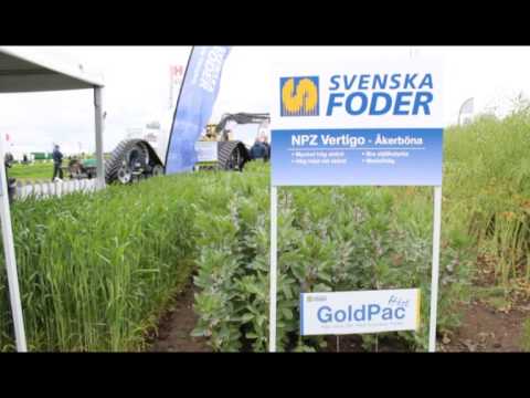 Svenska Foder på Borgeby Fältdagar 2015