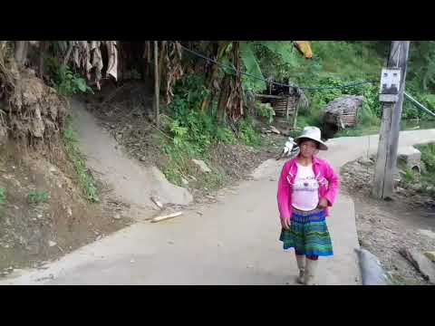 Lub zog ntawm wb txoj kev hlub