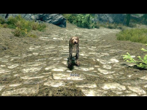 Every Skyrim Player When They First Meet Barbas