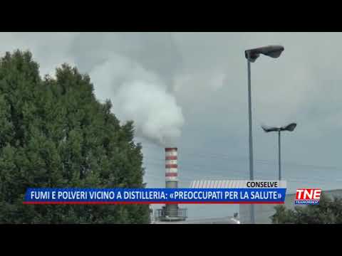 TG (07/05/2019) - FUMO E POLVERI VICINO ALLA DISTILLERIA: «PREOCCUPATI PER LA NOSTRA SALUTE