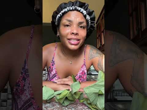 Benefits of Cassia Alata aka “King of the Forest”