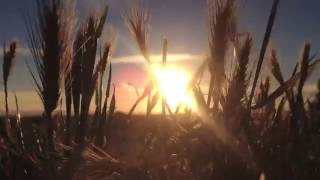 sigur ros isjaki alternate music video   SUNLAND