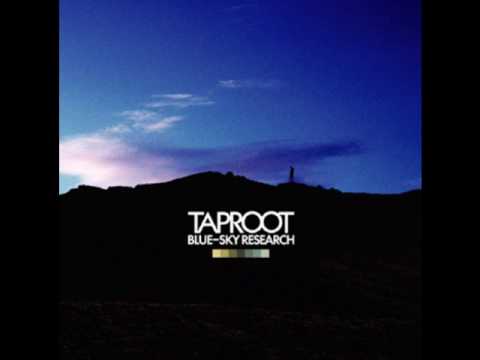 Taproot-Birthday