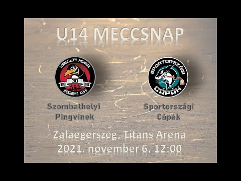 U14 313 Szombathelyi Pingvinek - Sportországi Cápák (élő közvetítés)