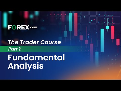 The Trader Course Part 1: Fundamental Analysis