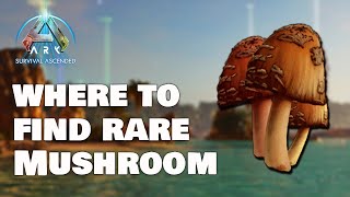 How to get RARE MUSHROOM - Island - Ark Survival Ascended
