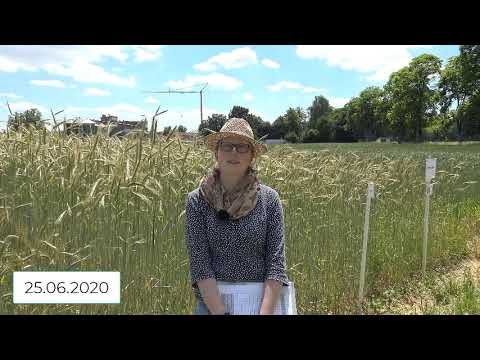 Pflanzenbau Aktuell - Öko Feldtag 2020 - Begrüßung