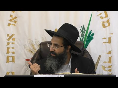 דיני כתובה - יז' - נכסי מלוג וצאן ברזל 📃 אבן העזר - סימן פד פה | חלק 62 | הרב שי עובד