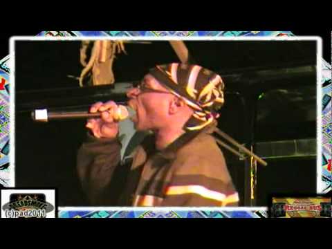 VIBRONICS ft madu & echo ranks (uk) - dub di roots & culture 1\ steppa vibes pt4 @ reggaebus 24-9-11