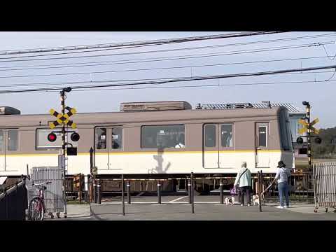 A train passing through the center of Heijo-kyo (1300-year-old capital)