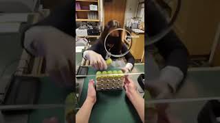 YELLOW $5 WHITE $100 GREEN $1 how much of this total? #poker #casino