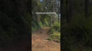 Download lagu Doa ibu menembus langit #storywa #quotes #doaibu mp3