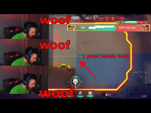 TARIK BARKING TO SEN ZELLSIS AFTER KILL HIM