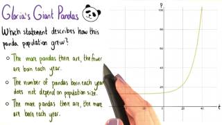 Panda Population Growth - College Algebra