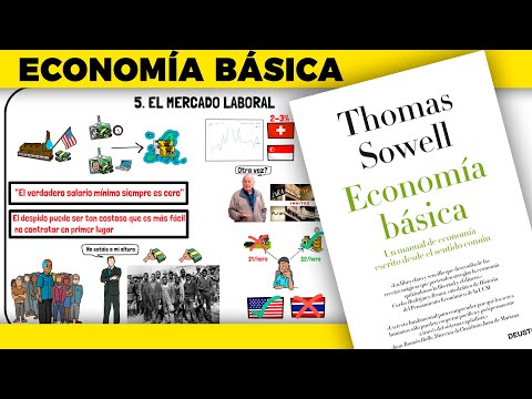 Todo lo que Necesitas Saber sobre Economía (en 30 minutos) | Economía Básica