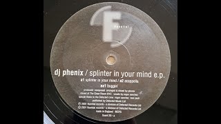 DJ Phoenix - Buggin'