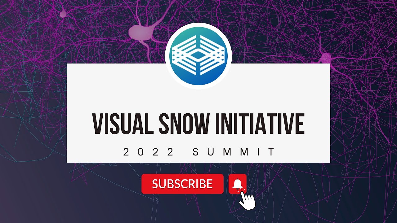 Visual Snow Initiative Virtual Summit 2022