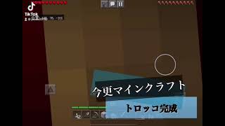 今更マインクラフト　トロッコ完成