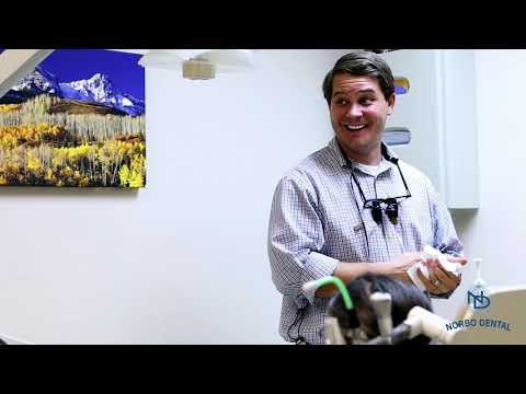 Norbo Dental: Dentist in Purcellville VA