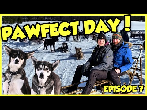 A BUCKET LIST excursion in Tromsø! 🐾 Fred. Olsen Borealis | Episode 7
