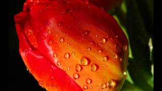 Download lagu Mudhal Mudhal.wmv mp3