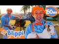 What S It Like To Care For Zoo Animals Blippi Visits A Pet Zoo Educational Videos For Kids