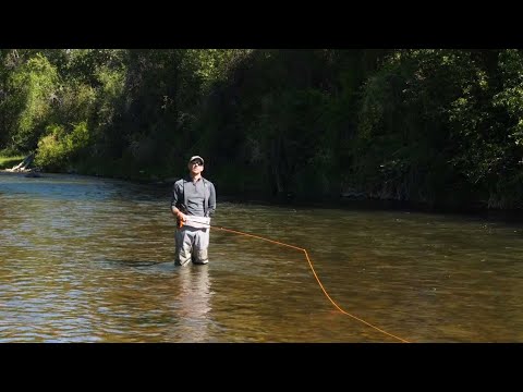 Fly Casting 101: The Pick Up and Lay Down
