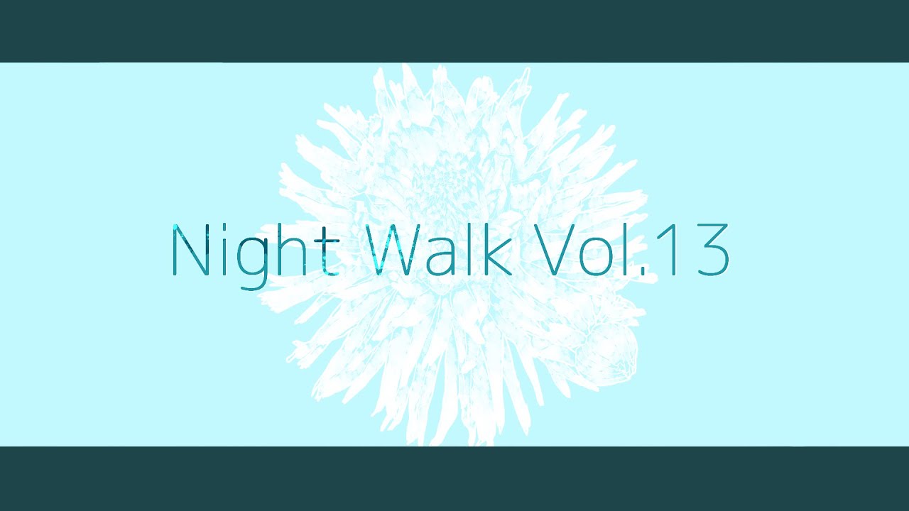 Night Walk Vol.13