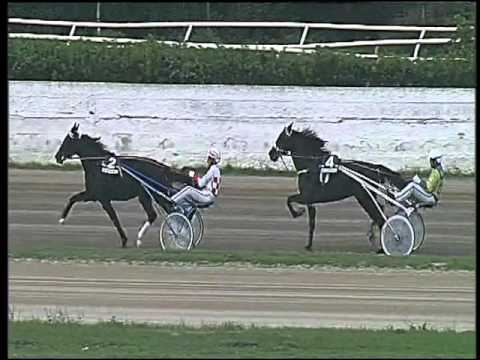 Trotto 25/10/2015 - 1° corsa