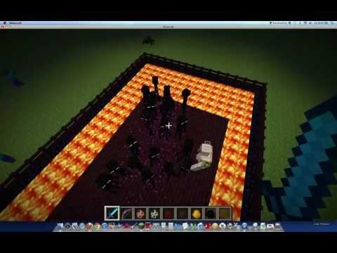 20 enderman vs 1 iron golem