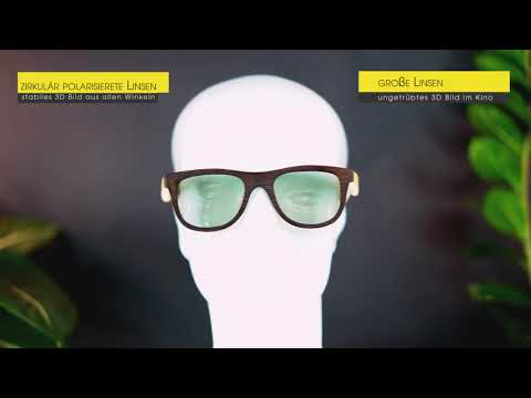 Hi Shock Sierra Passive Cinema 3D Glass