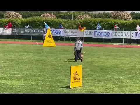 Desmond Murat FMBB 2024 poslušnost