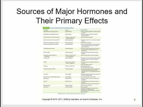 Pathophysiology lectures by Dr. Saudi, Chapter 16 Endocrine system disorders Latest