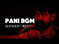 PANI BGM SLOWED Reverb PANI