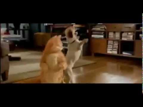 Garfield 2004 Tamil Dubbed Movie Download Tamilrockers Garfield 2004 Tamil Dubbed Movie Download Tamilrockers