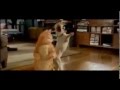 Garfield The Movie 2004 Trailer Full Movie Download CLOSED DOWN