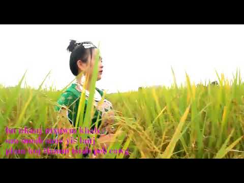 Plam koj thaum tsiab peb caug (cover ntxawm khab)