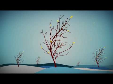 Eres Miembro o Discipulo