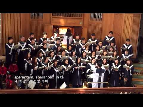 [가톨릭합창단] Inclina Domine(주여 귀를 기울이사) - C.Czerny,  명동성당