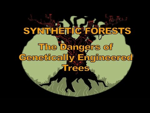 Synthetic Forests