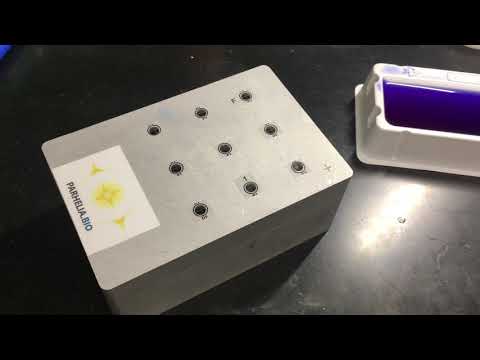 Parhelia Bio - Customer Success Story (Nikolay Samusik -  Co-Founder)