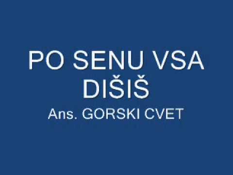 Ansambel GORSKI CVET - PO SENU VSA DIŠIŠ