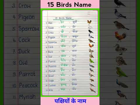 15 Birds Name Hindi and English | pakshiyon ke naam | Birds Name | पक्षियों के नाम #shorts #birds